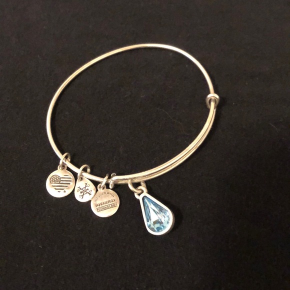 💎 Alex and Ani 💎Charm Bracelet - Picture 1 of 6